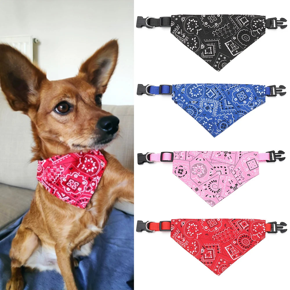 WhiskerWear Bandana