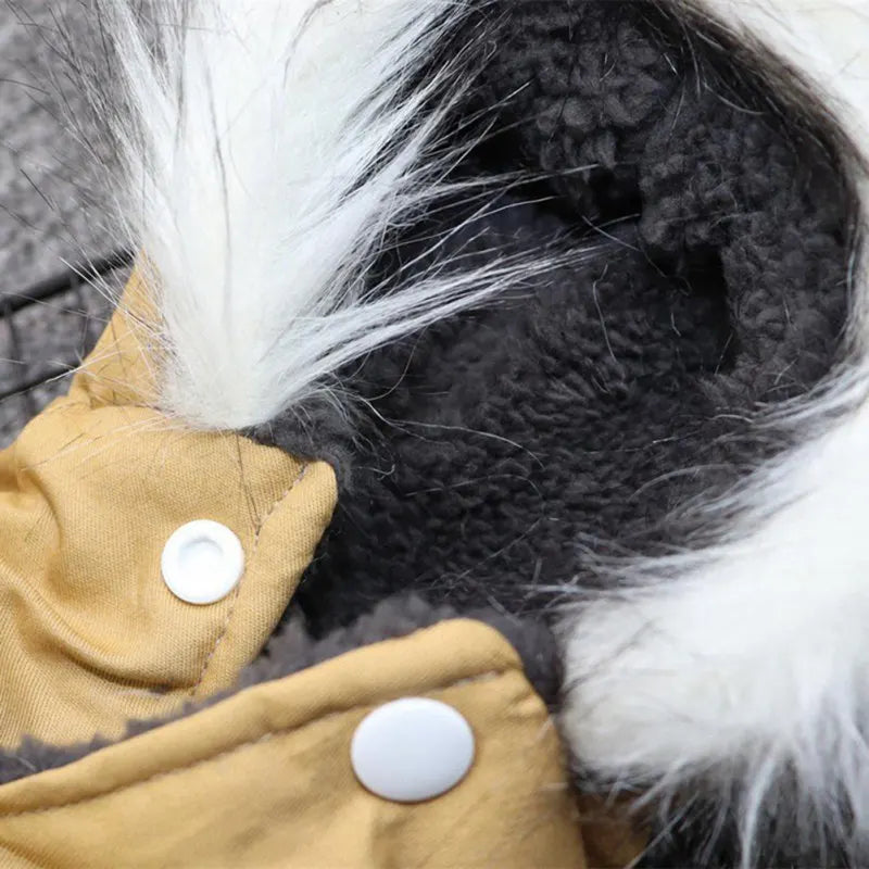 FrostPaw Winter Coat