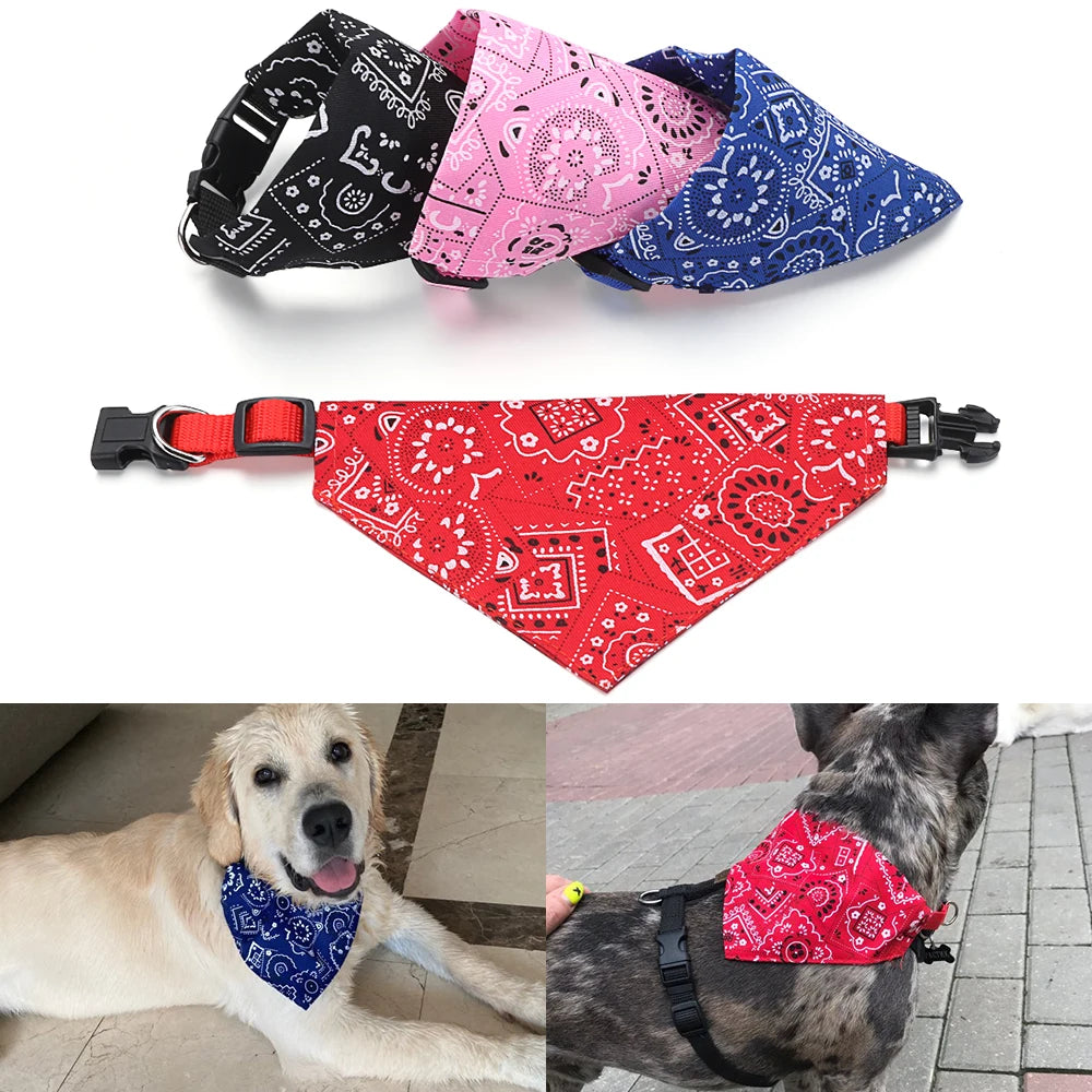 WhiskerWear Bandana
