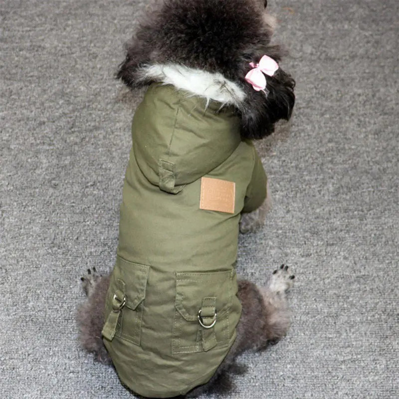 FrostPaw Winter Coat