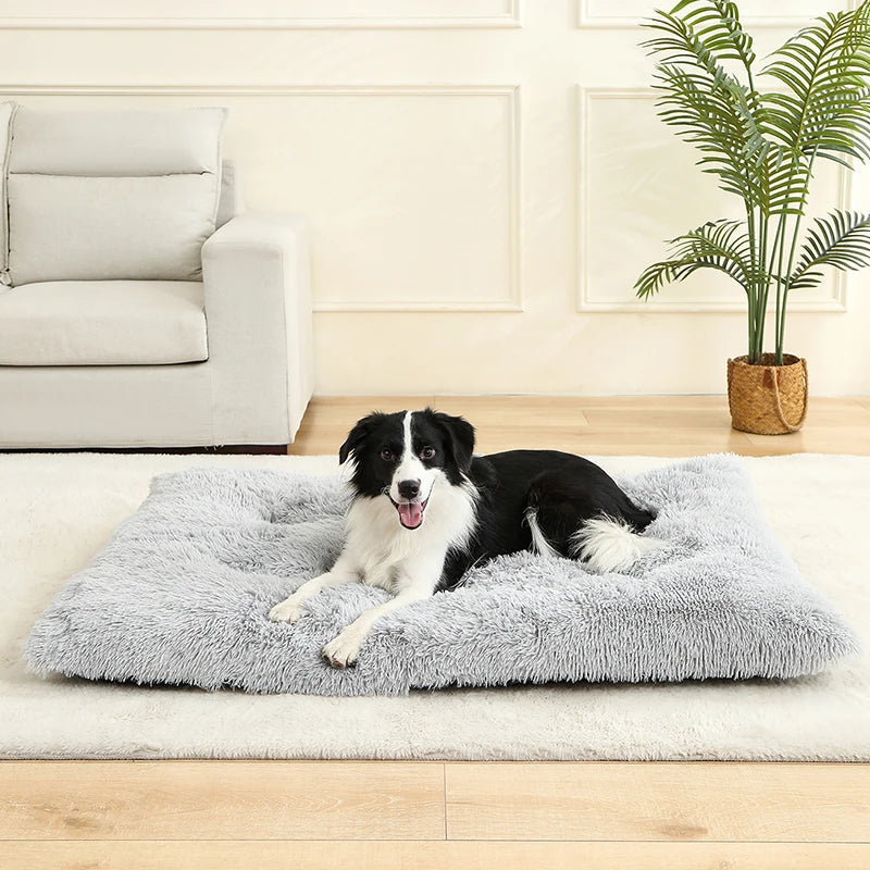 FluffNest Luxe Pet Bed