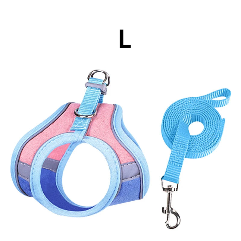 BunnyTrek Adventure Harness Set