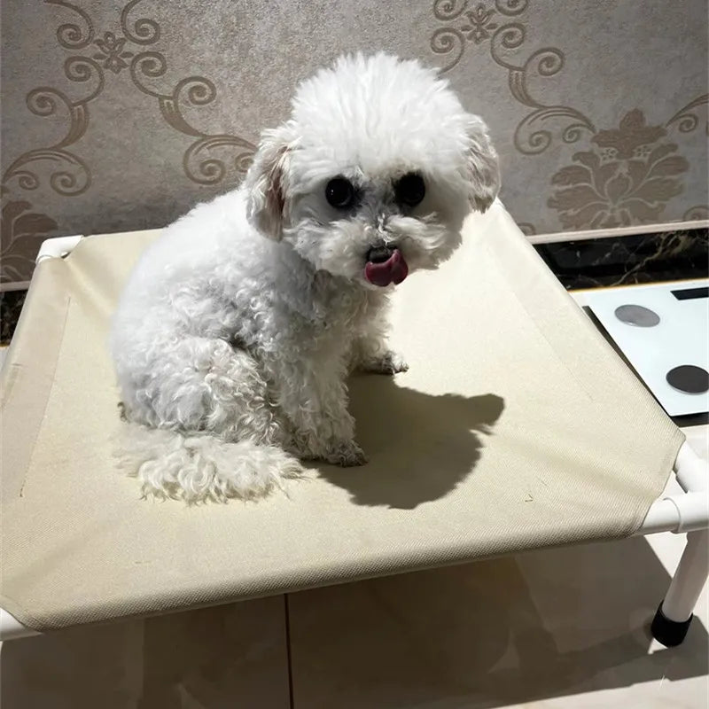 CampPaws Elevated Pet Bed