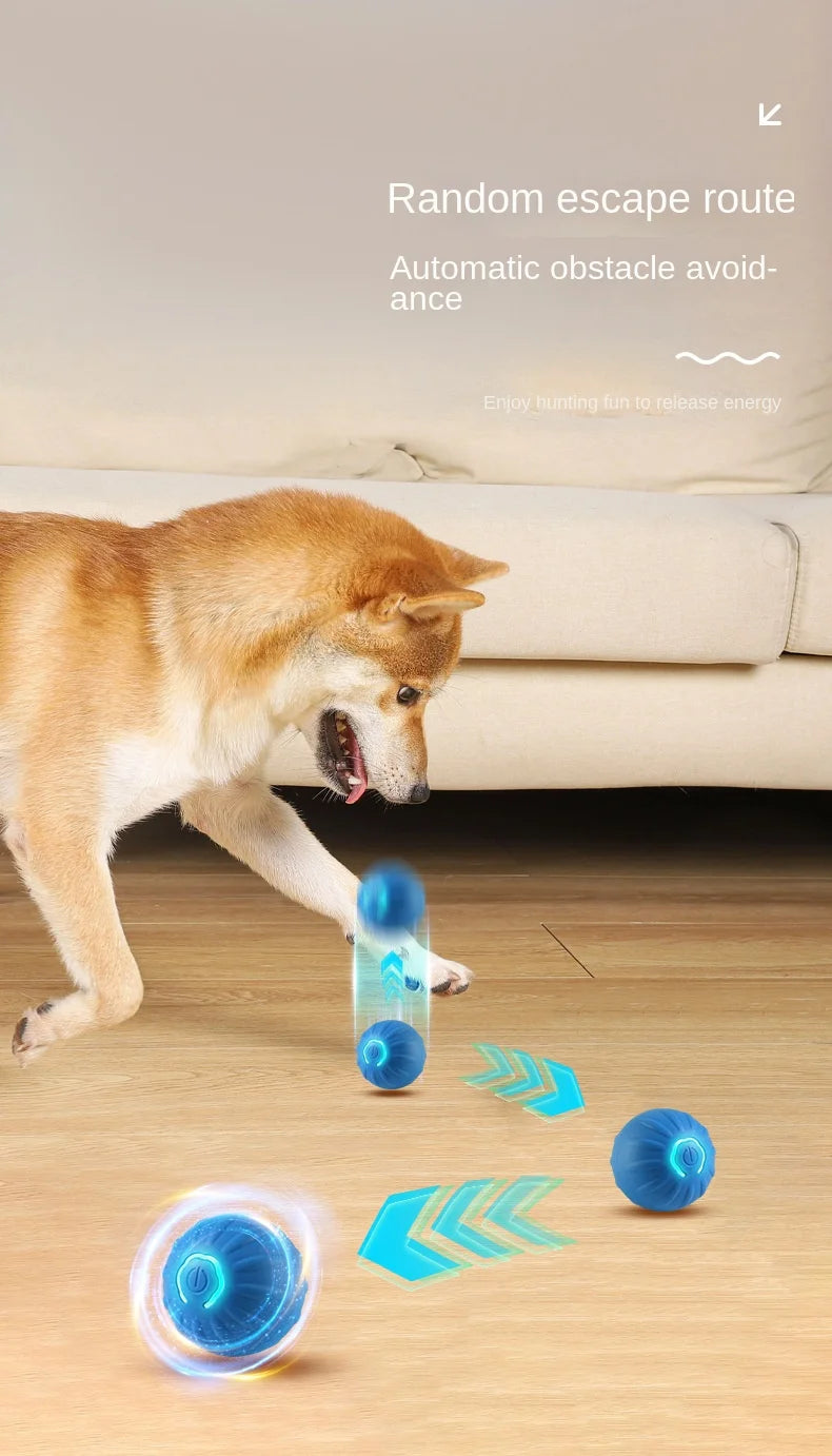BarkBolt – The Smart Rolling Wonder Ball