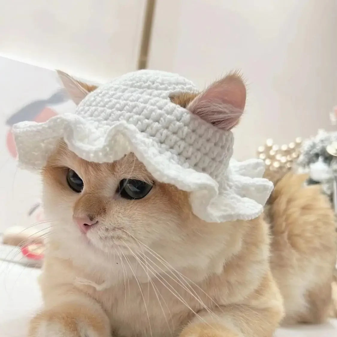 Meowdorable Knit Cosplay Hat