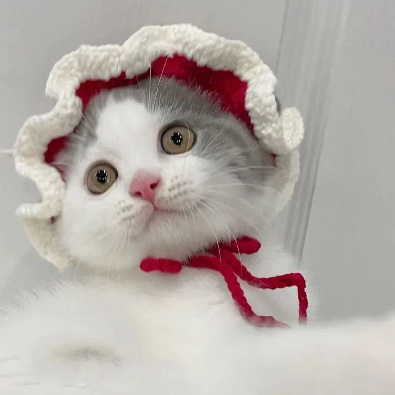 Meowdorable Knit Cosplay Hat