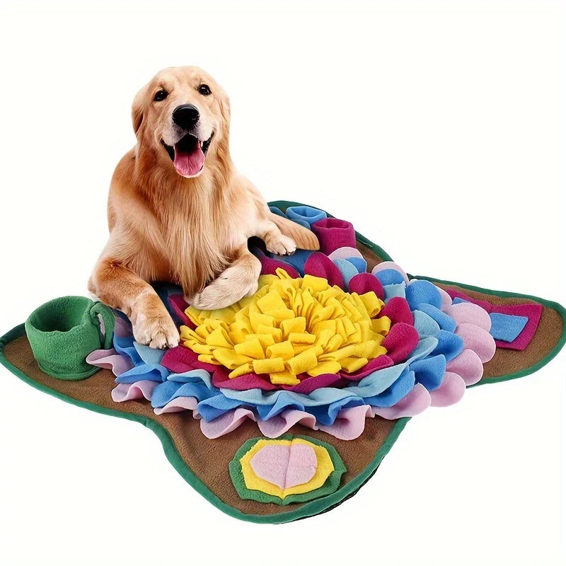 Sniff & Seek Adventure Mat