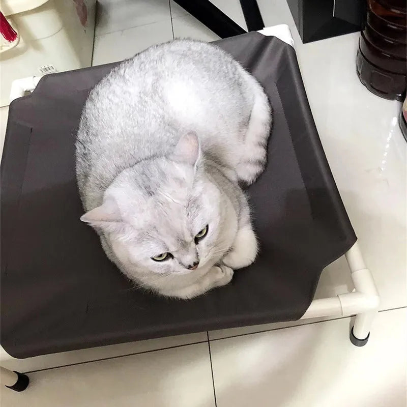 CampPaws Elevated Pet Bed