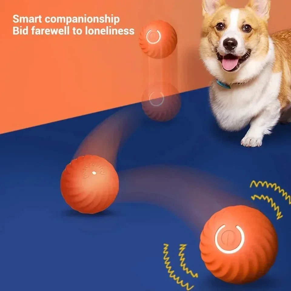 BarkBolt – The Smart Rolling Wonder Ball
