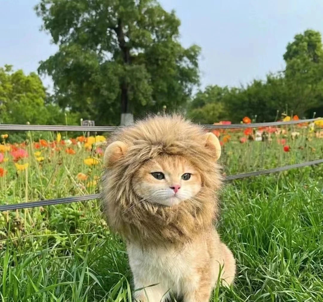 Roar & Purr Lion Mane Wig