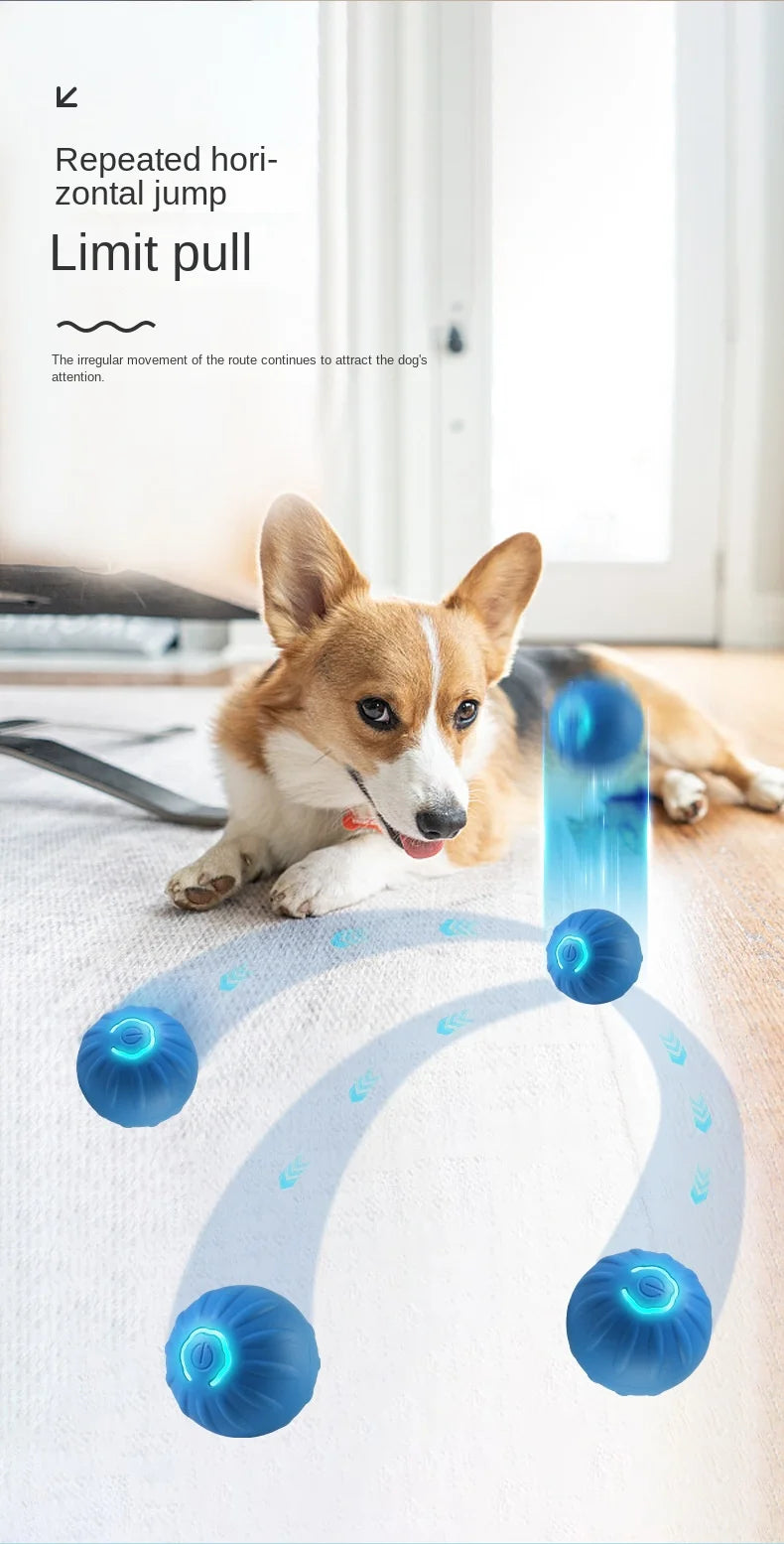 BarkBolt – The Smart Rolling Wonder Ball