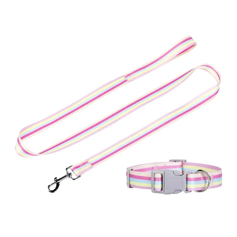 PrideStride Leash & Collar Set