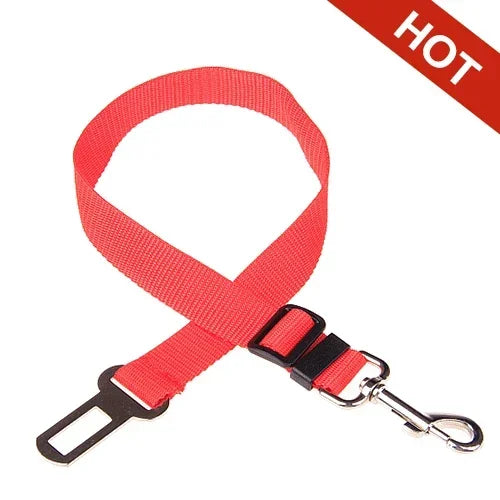 Sit, Stay & Buckle Pet Car Safety Belt
