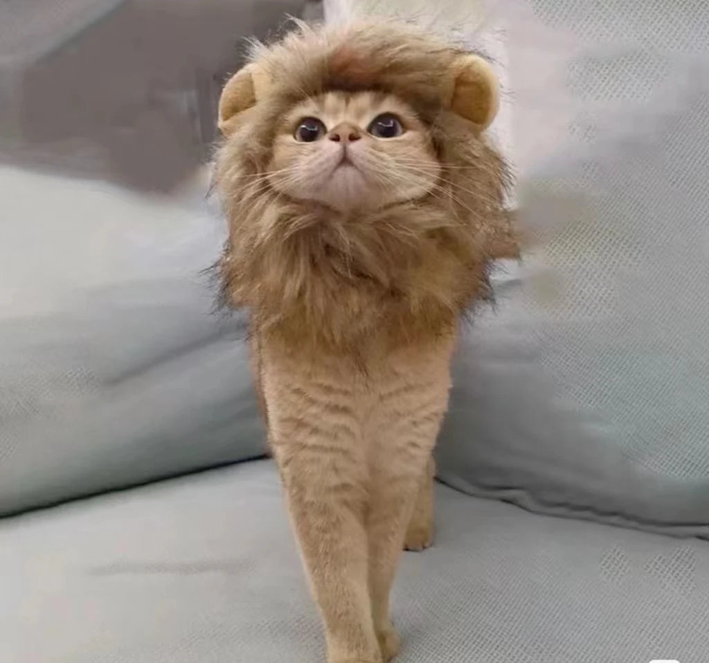 Roar & Purr Lion Mane Wig