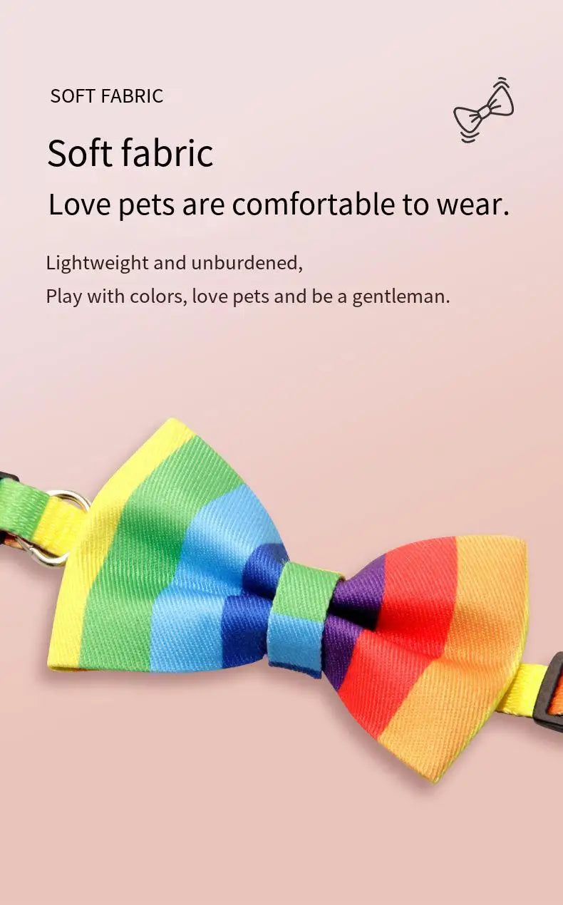 PridePaws Rainbow Collar
