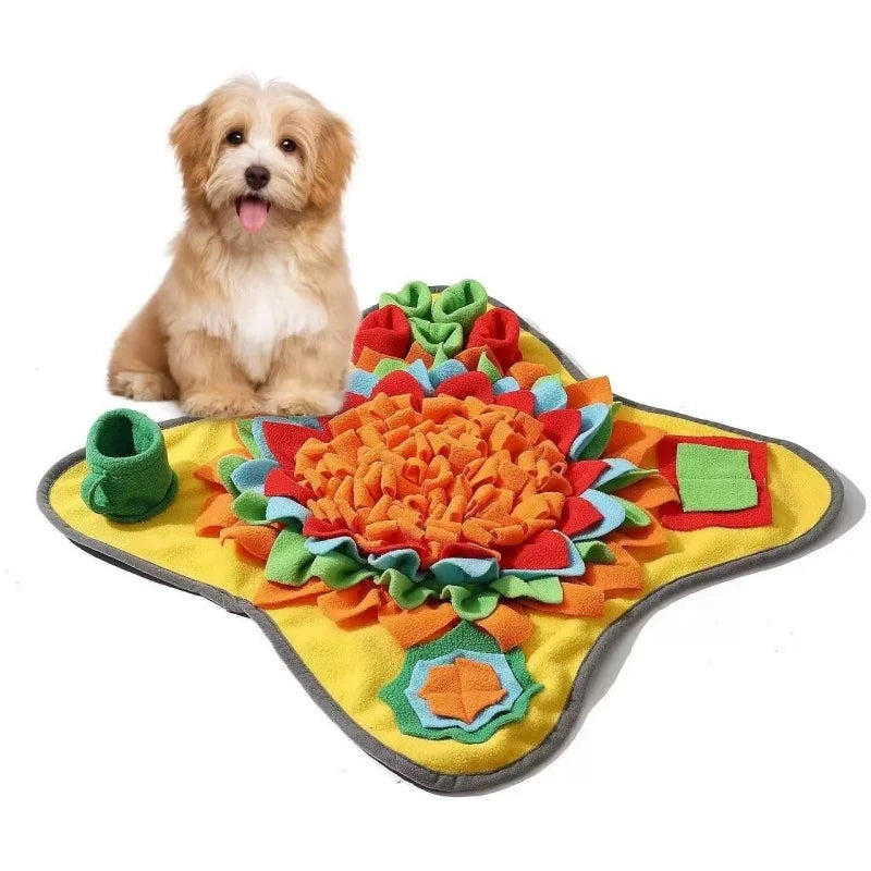 Sniff & Seek Adventure Mat