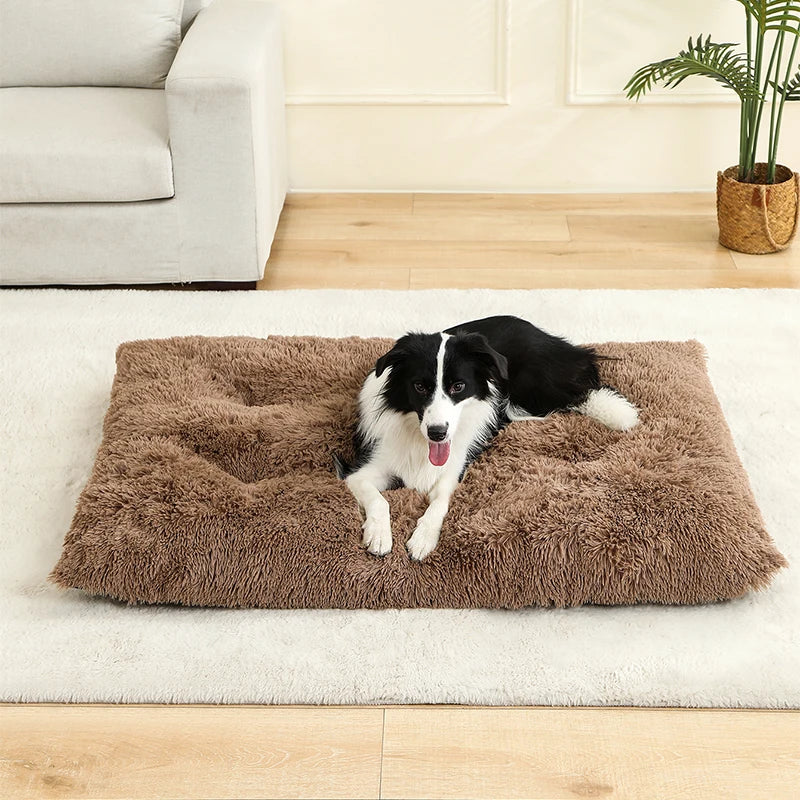 FluffNest Luxe Pet Bed