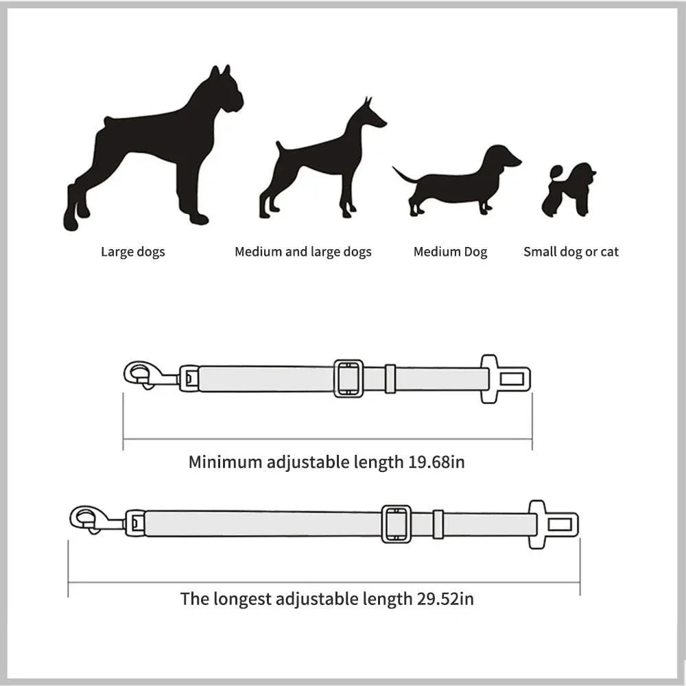 Sit, Stay & Buckle Pet Car Safety Belt