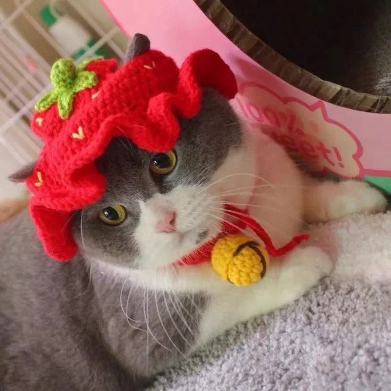 Meowdorable Knit Cosplay Hat
