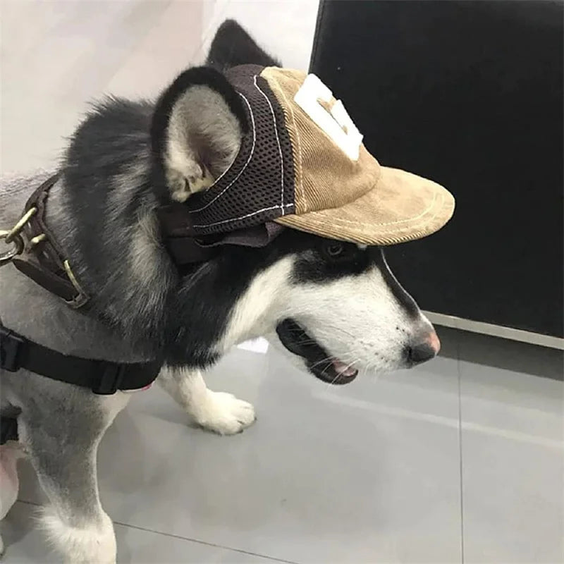 Pawshade PupCap