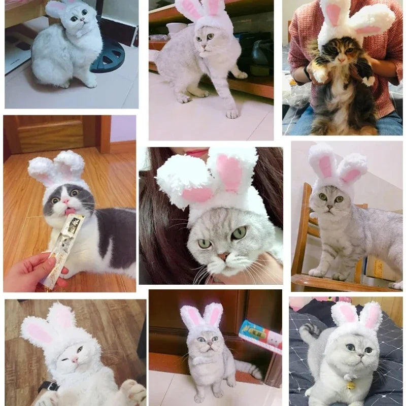 BunnyWhiskers Cozy Cat Hat