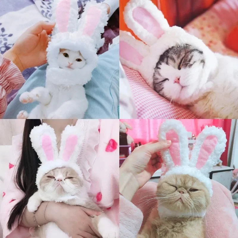 BunnyWhiskers Cozy Cat Hat