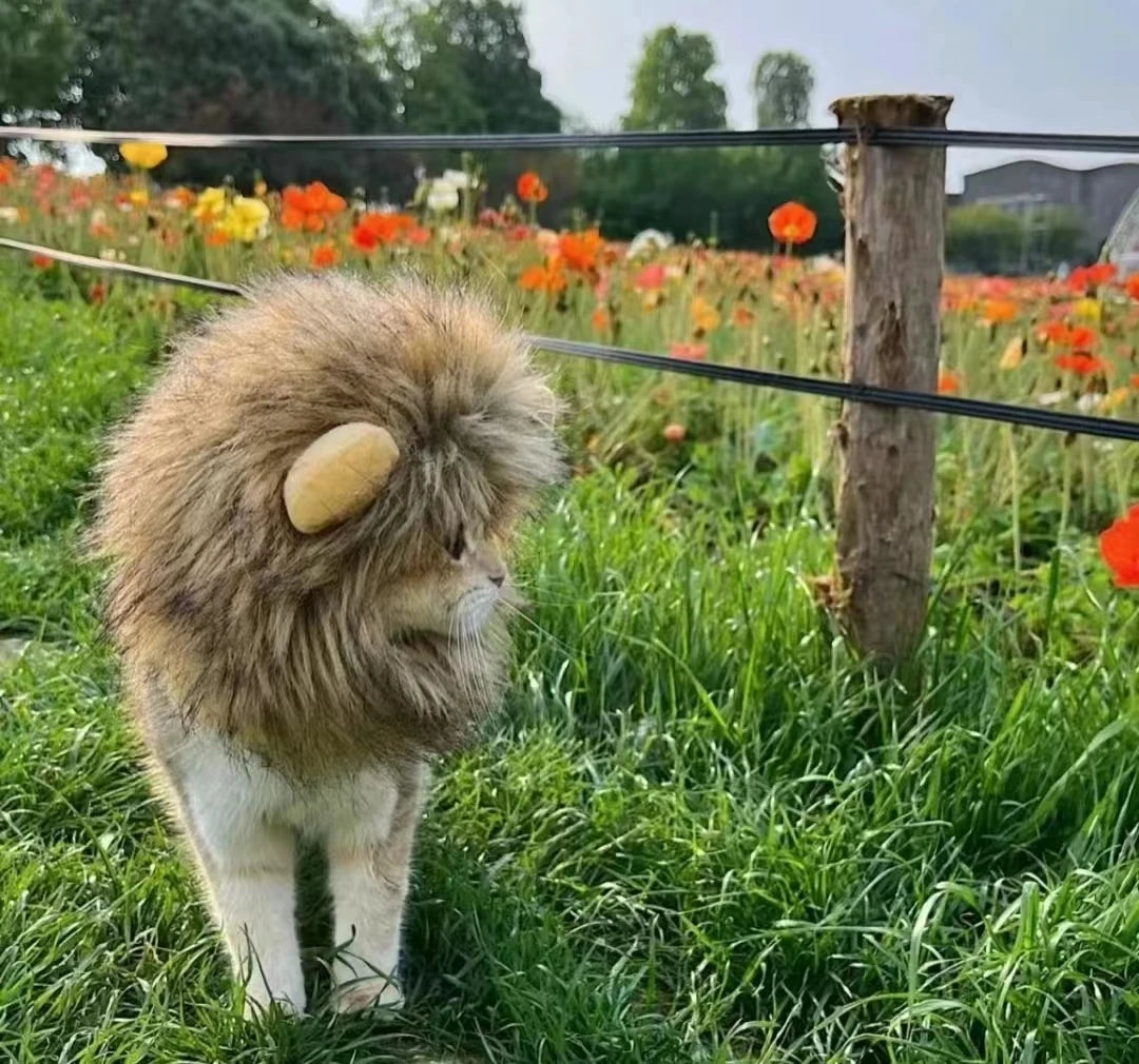 Roar & Purr Lion Mane Wig