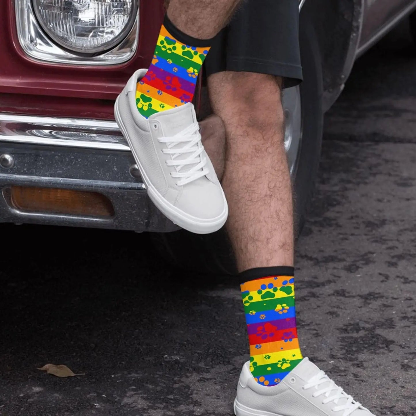 Pawroud Pride Socks