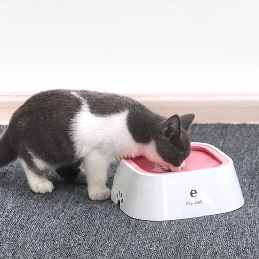 SipSavvy III Splash-Free Pet Hydration Bowl