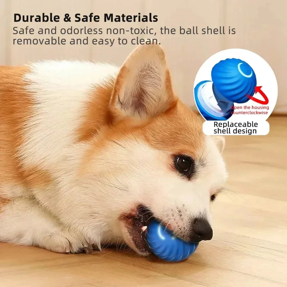 BarkBolt – The Smart Rolling Wonder Ball
