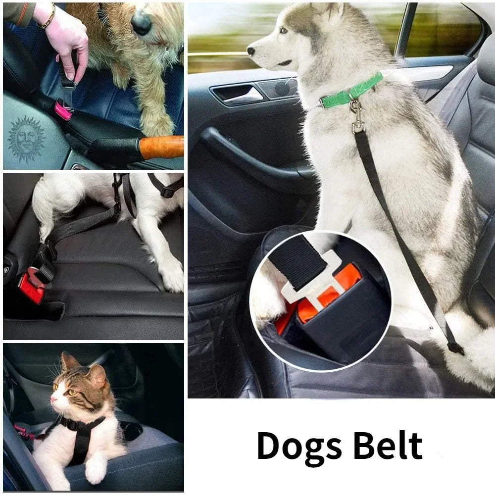 Sit, Stay & Buckle Pet Car Safety Belt
