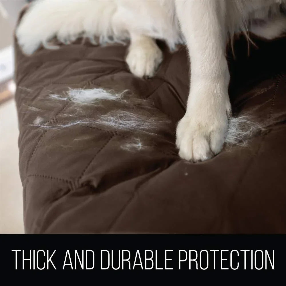 PuddleProof Paws Blanket