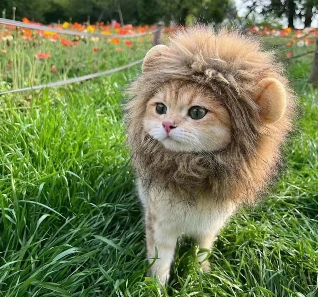 Roar & Purr Lion Mane Wig