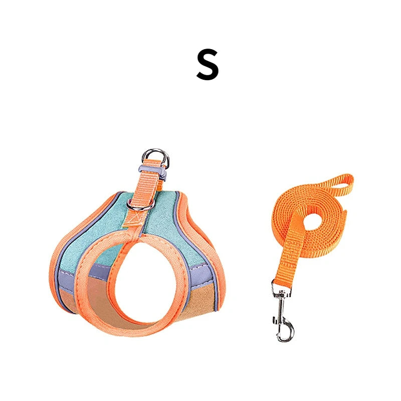 BunnyTrek Adventure Harness Set