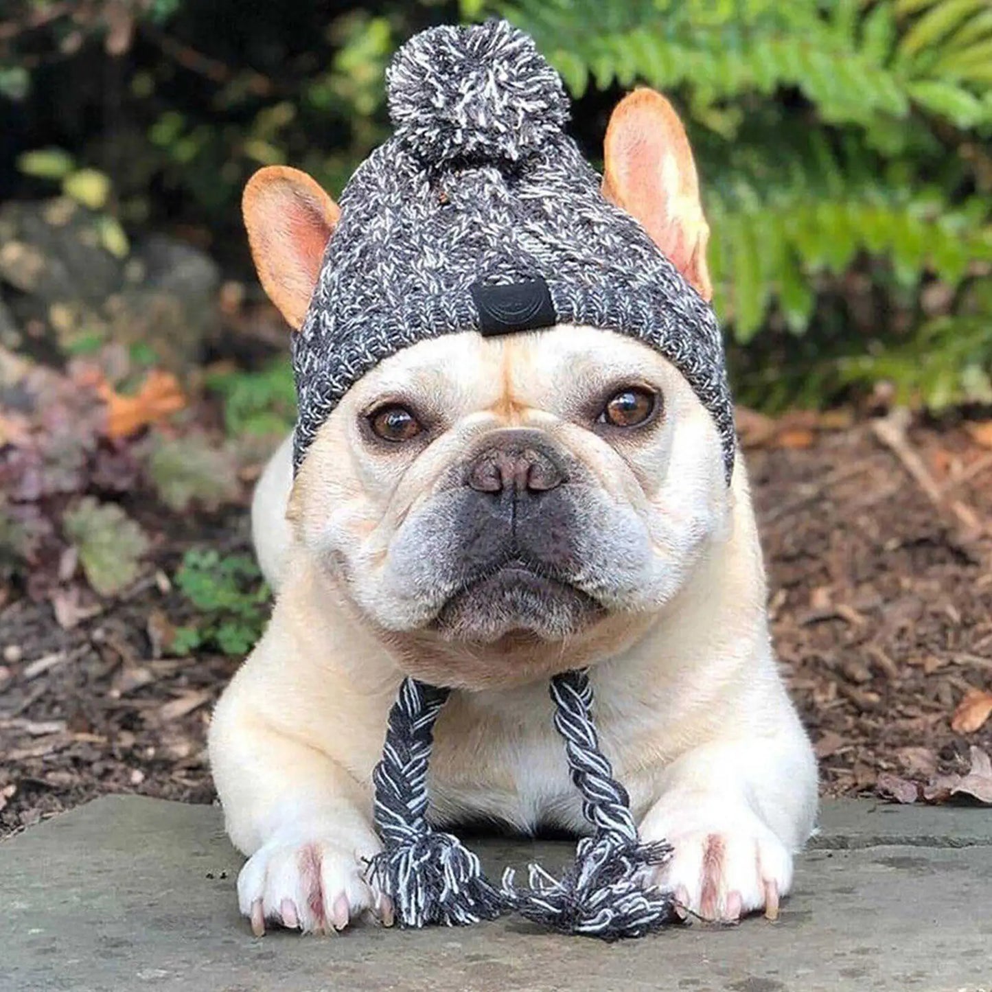 SnuggleNoggin Winter Dog Hat