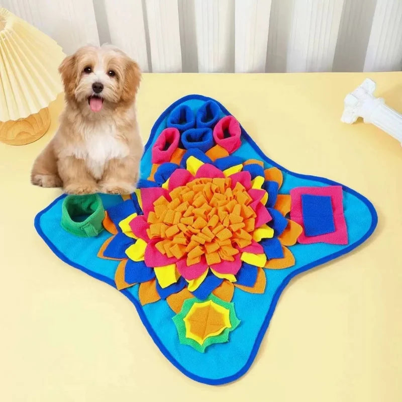 Sniff & Seek Adventure Mat
