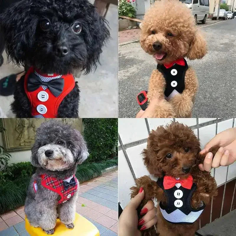 DapperPaws Tux Set