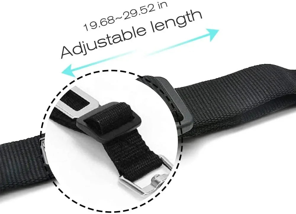 Sit, Stay & Buckle Pet Car Safety Belt
