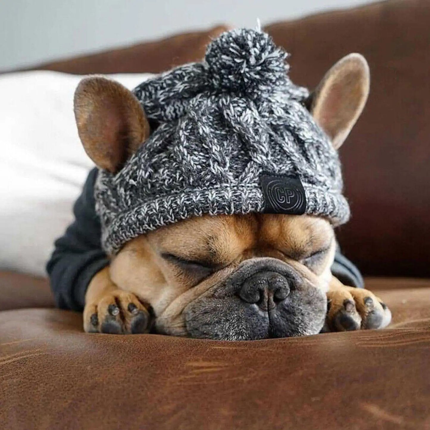SnuggleNoggin Winter Dog Hat