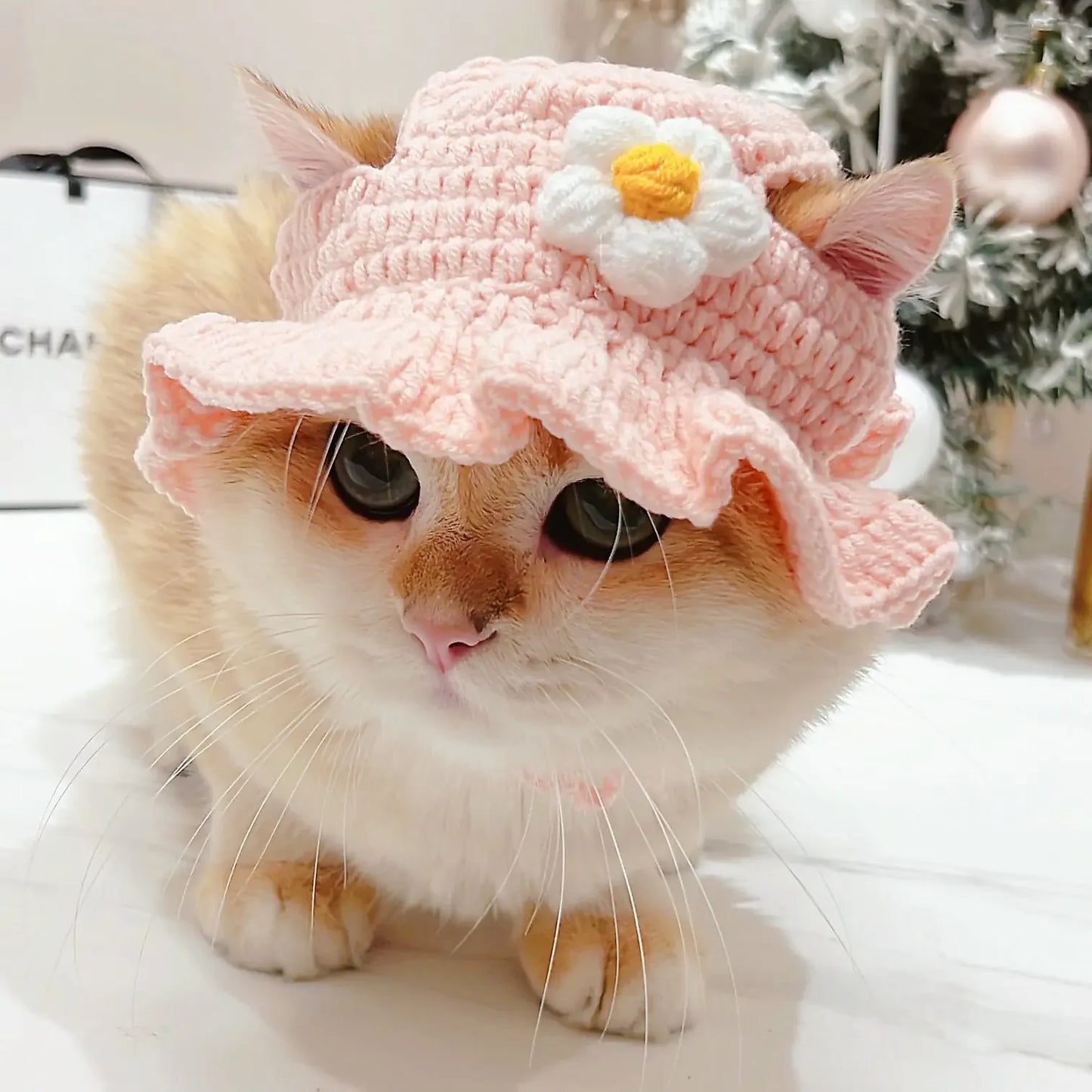 Meowdorable Knit Cosplay Hat