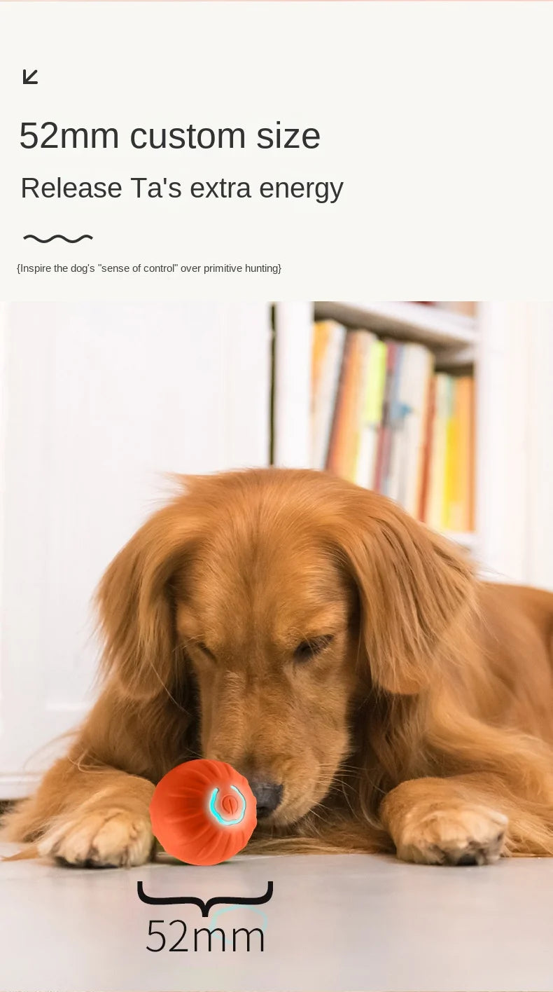 BarkBolt – The Smart Rolling Wonder Ball