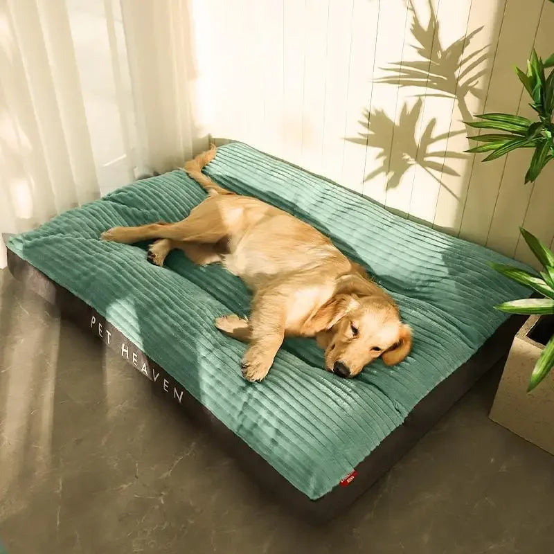 Plush Dog Bed