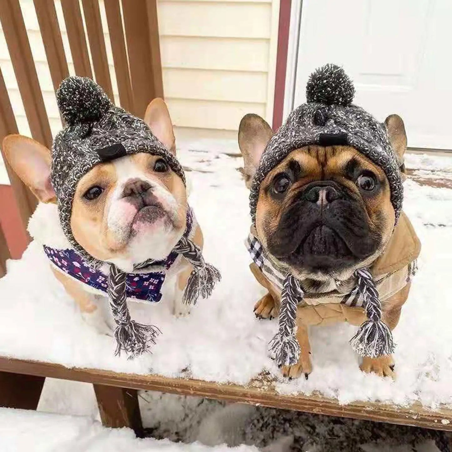 SnuggleNoggin Winter Dog Hat