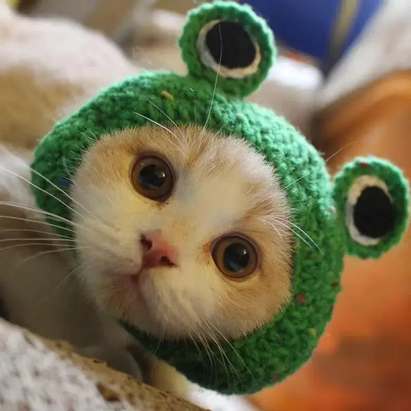 Meowdorable Knit Cosplay Hat