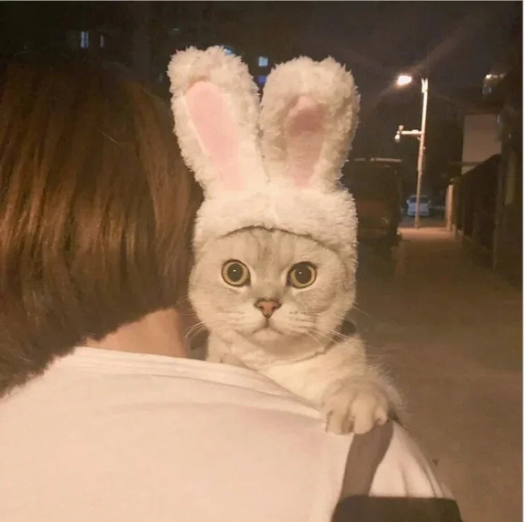 BunnyWhiskers Cozy Cat Hat