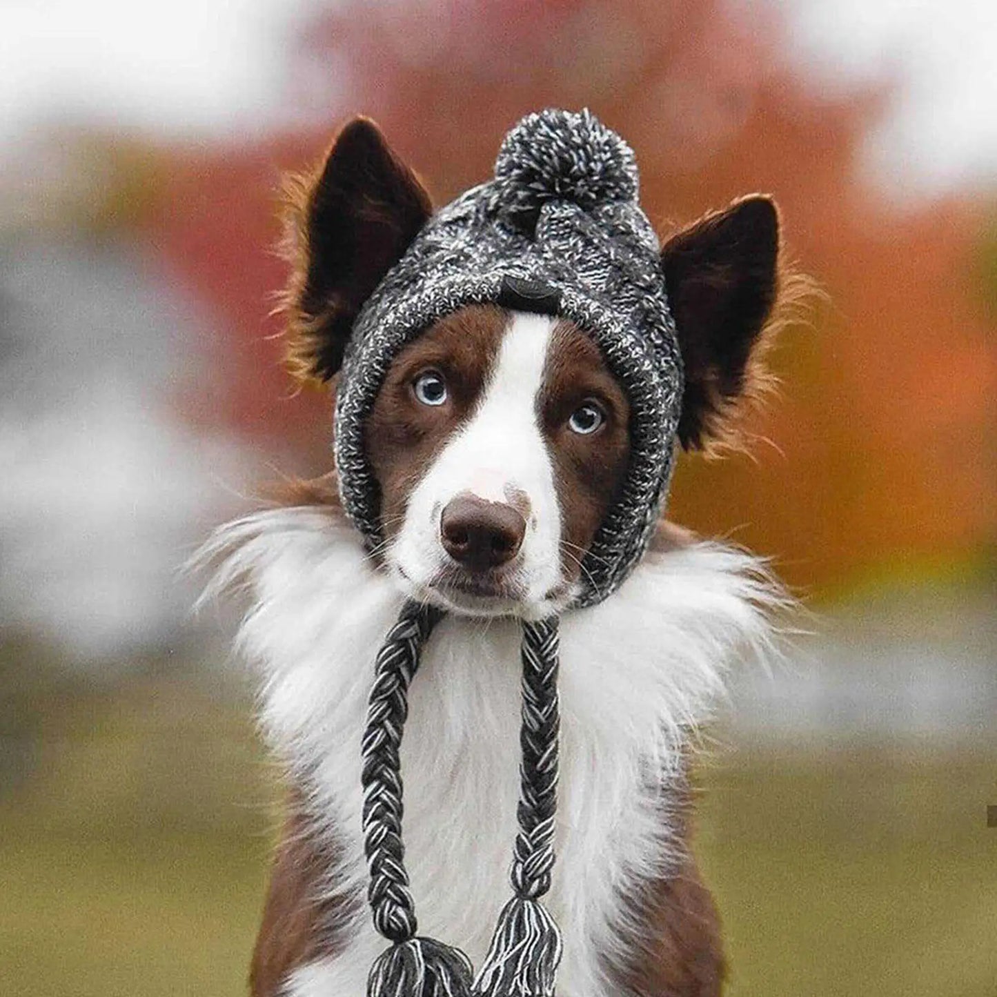 SnuggleNoggin Winter Dog Hat