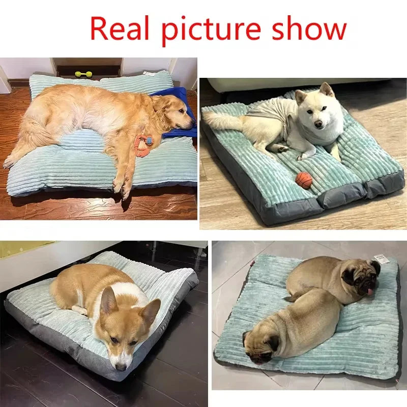 Plush Dog Bed