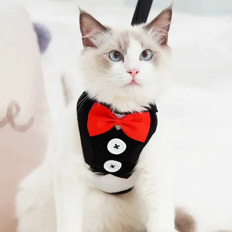 DapperPaws Tux Set