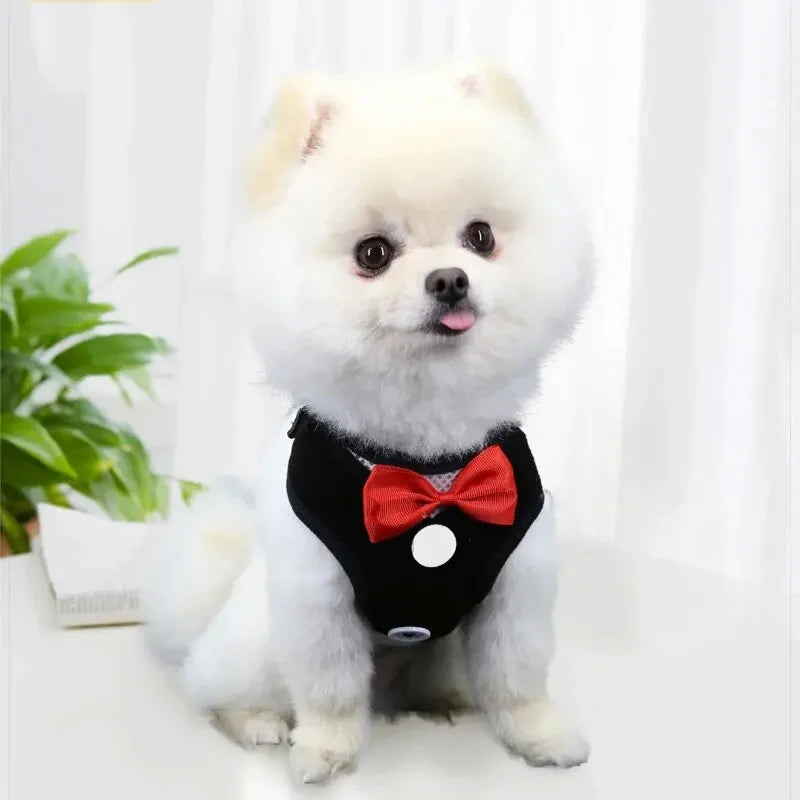 DapperPaws Tux Set
