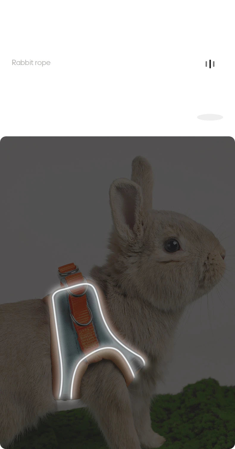BunnyTrek Adventure Harness Set